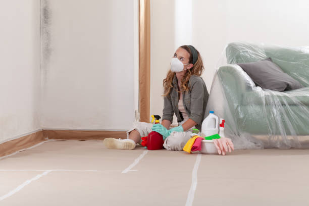 Reliable Mold Remediation contractor in Beltsville, MD by 24 Hour Mold Removal